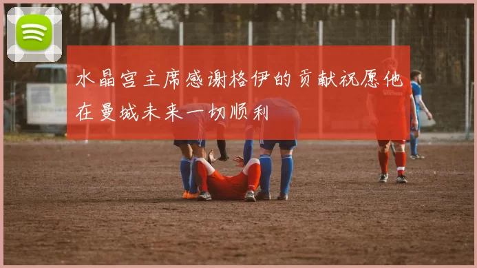 水晶宫主席感谢格伊的贡献祝愿他在曼城未来一切顺利